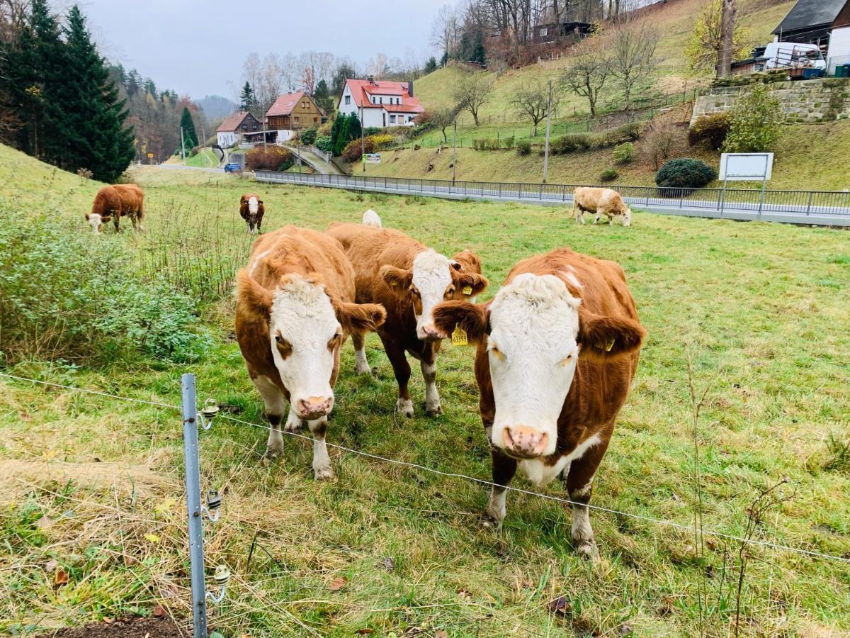 Naturhof Kluge Saupsdorf Exterior foto